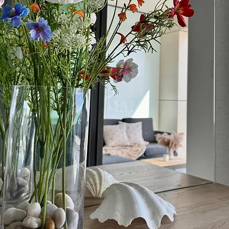 Baltic Infinity 417 - & Pool Access Apartman *